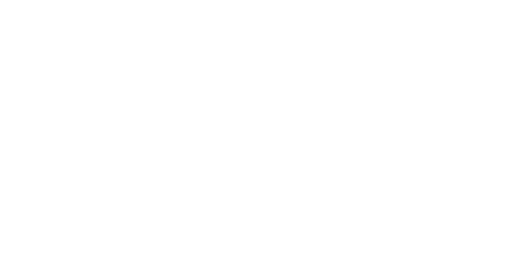MEGA_Logo_Primary_White